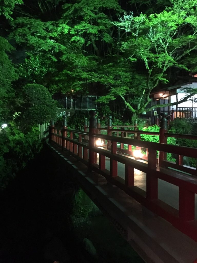 奥湯河原の青巒荘に泊まってみた 100年の歴史のある温泉宿 アイハナの旅ログ