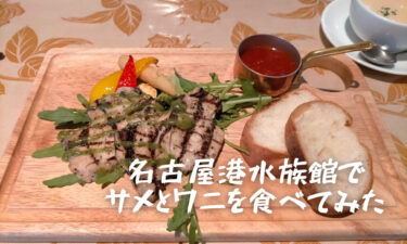 名古屋港水族館レストラン「アリバダ」でサメとワニを食べてみた！
