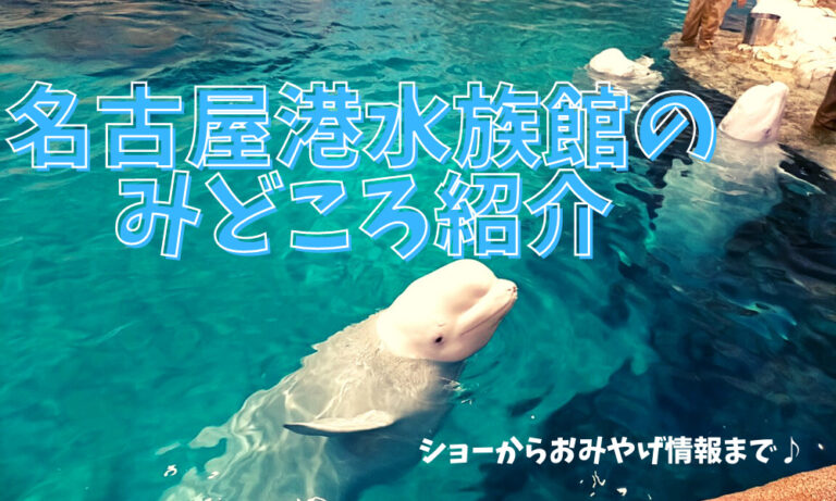 名古屋港水族館のみどころやおみやげ・レストラン情報を紹介！