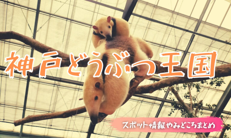 神戸どうぶつ王国のみどころ紹介 動物が近い ふれあい型動物園 アイハナの旅ログ