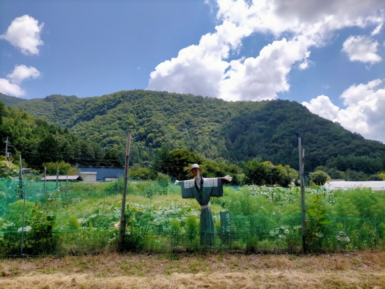 西湖いやしの里根場の田園風景