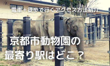 京都市動物園の最寄り駅はどこ？電車と徒歩で行くアクセス方法を紹介！