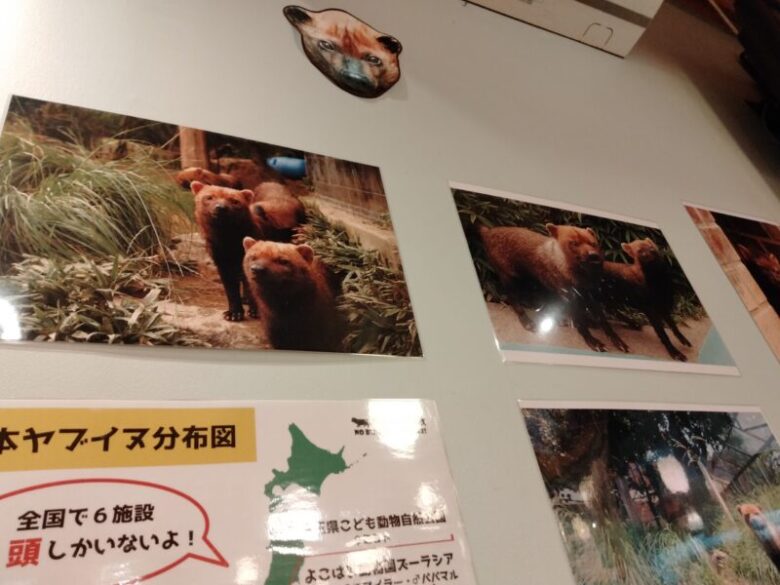 京都市動物園のレストラン