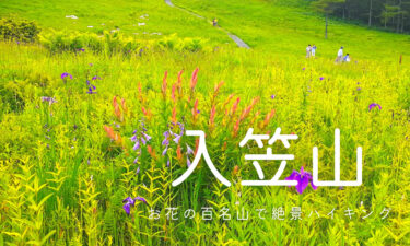 入笠山(にゅうかさやま) で絶景ハイキングを楽しもう！【草花の宝庫】