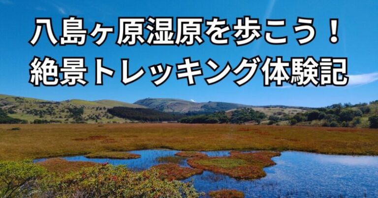 八島ヶ原湿原の景色