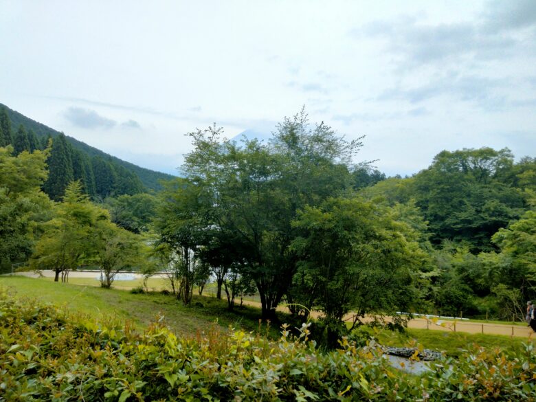 休暇村富士の客室からみた景色