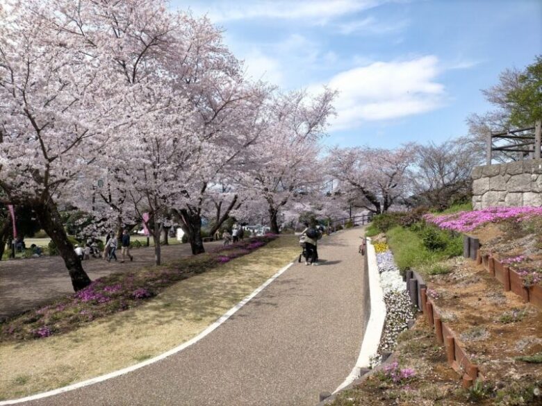 岩本山公園の桜