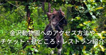 横浜市立金沢動物園のチケット料金や見どころ・所要時間・アクセス・レストランを紹介！