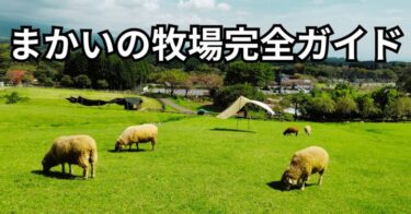 まかいの牧場完全ガイド｜料金・見どころ・ランチ・お土産を徹底紹介