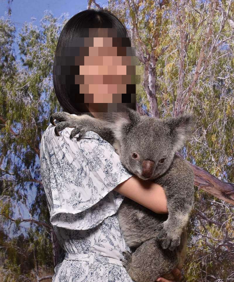 コアラ抱っこ写真