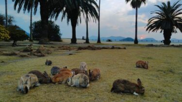 大久野島3泊4日旅行記①観光列車エトセトラで行く大久野島