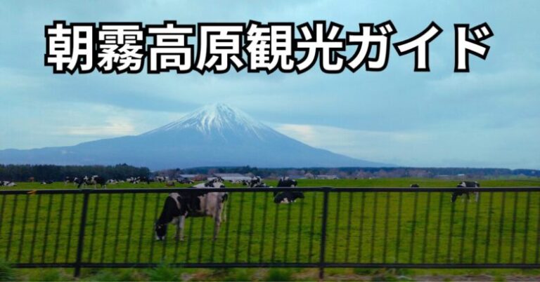 朝霧高原の富士山と牛