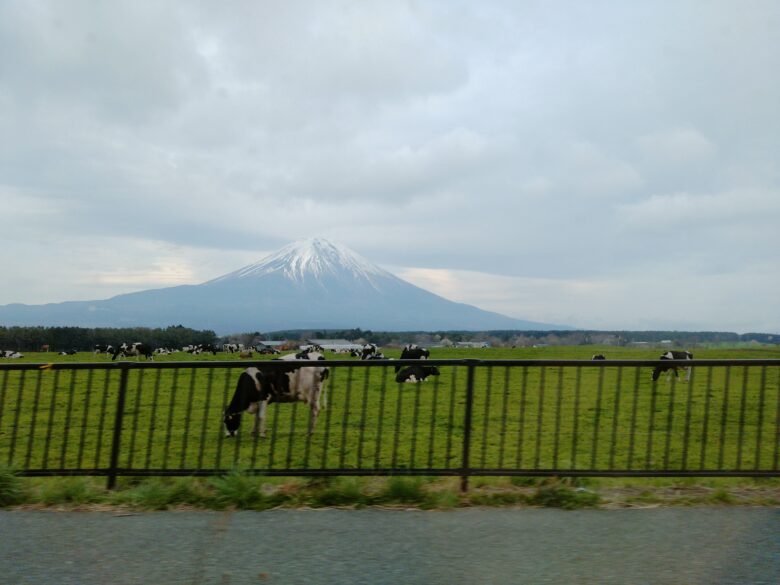 朝霧高原