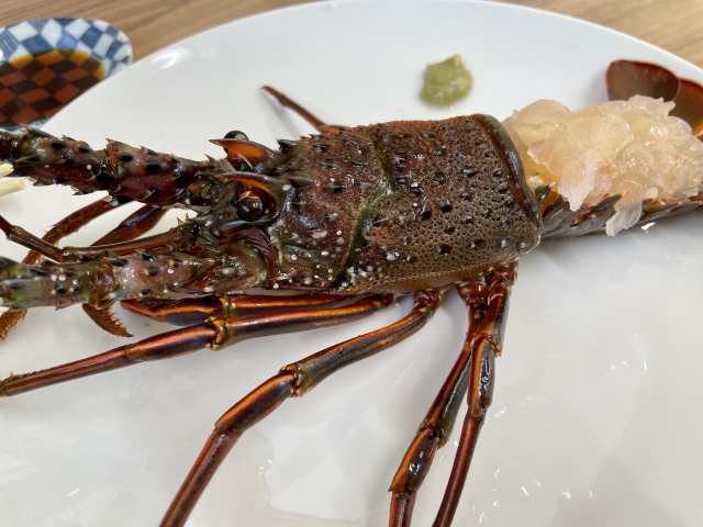 伊勢エビのお造り