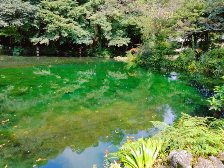 湧玉池