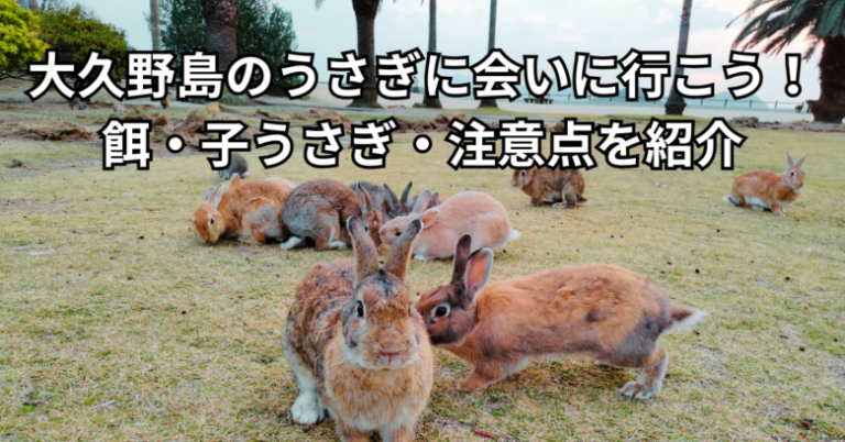 大久野島のうさぎたち