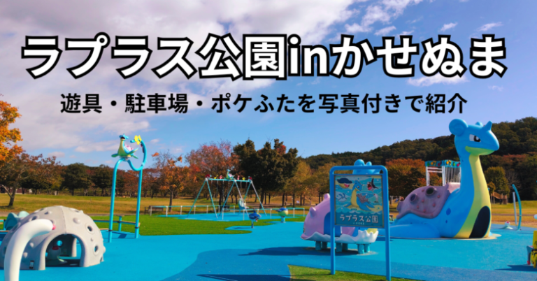ラプラス公園inかせぬまの全景